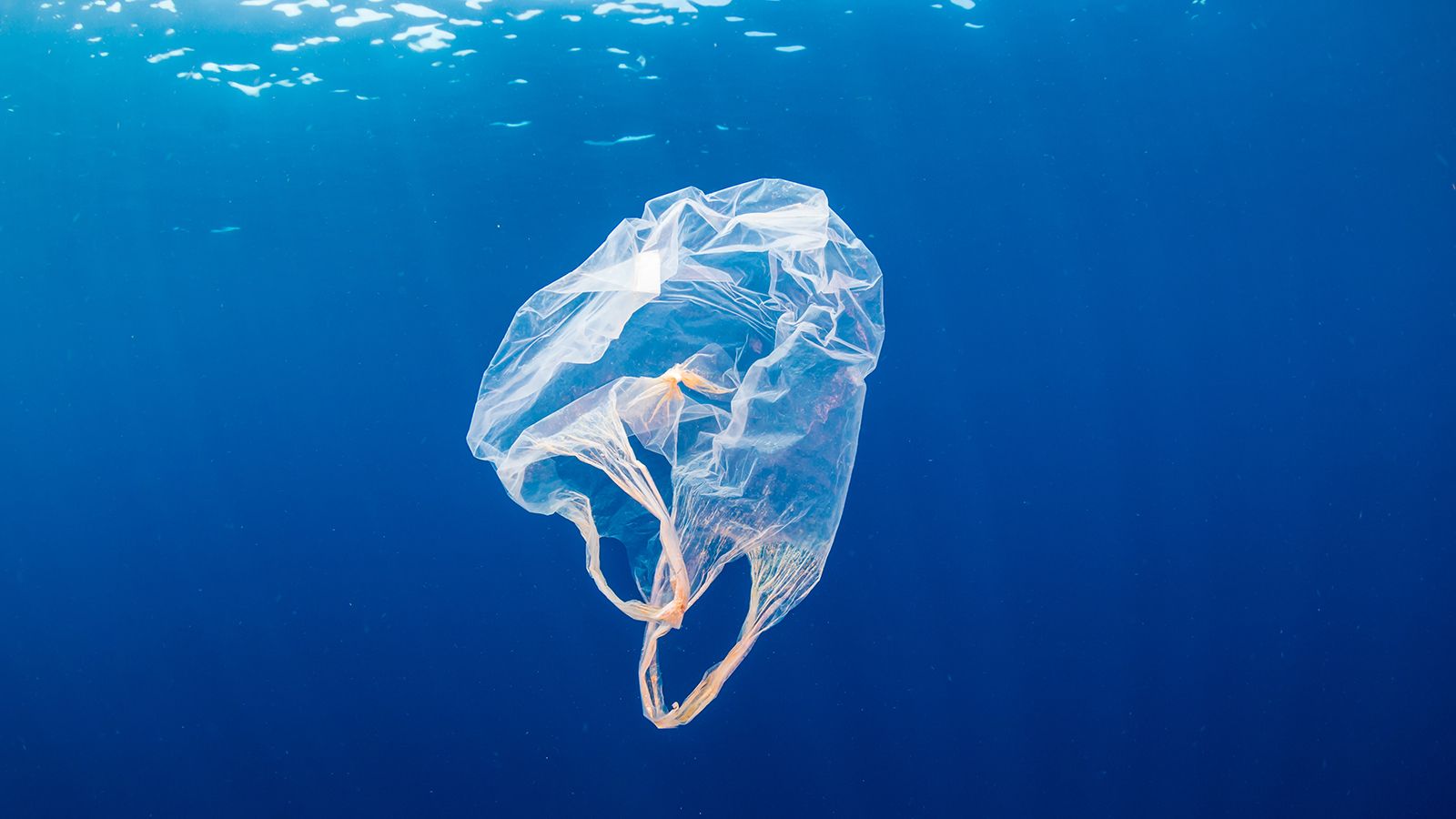 Plastic In Ocean